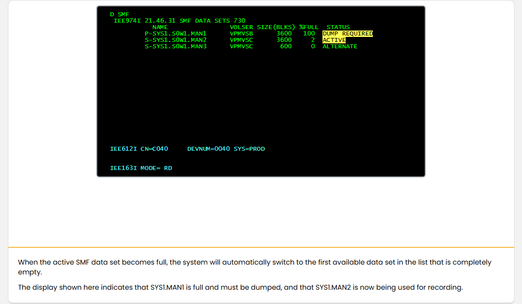 使用 SMF - Switching SMF Data Sets screenshot